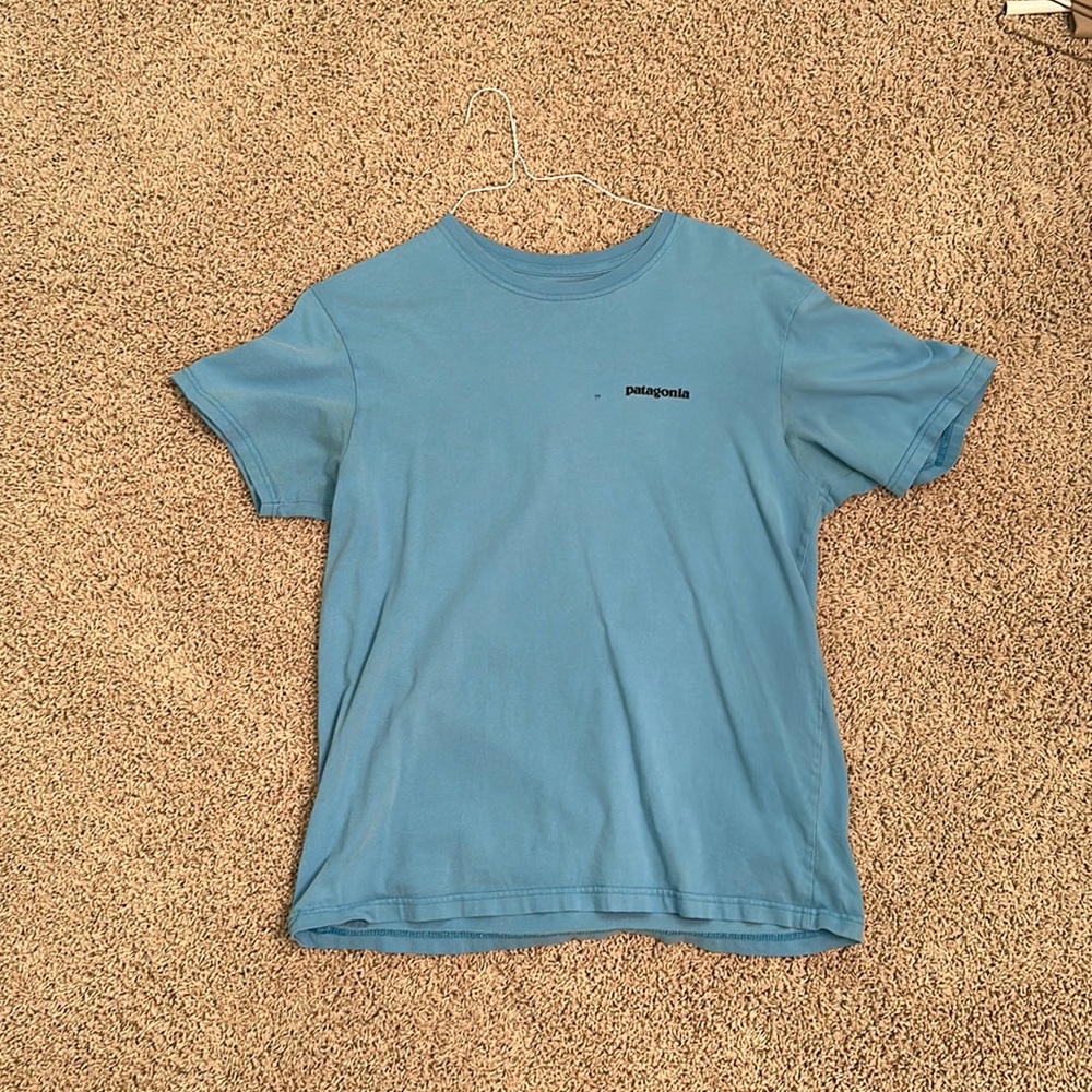 Men’s Patagonia T-shirt
